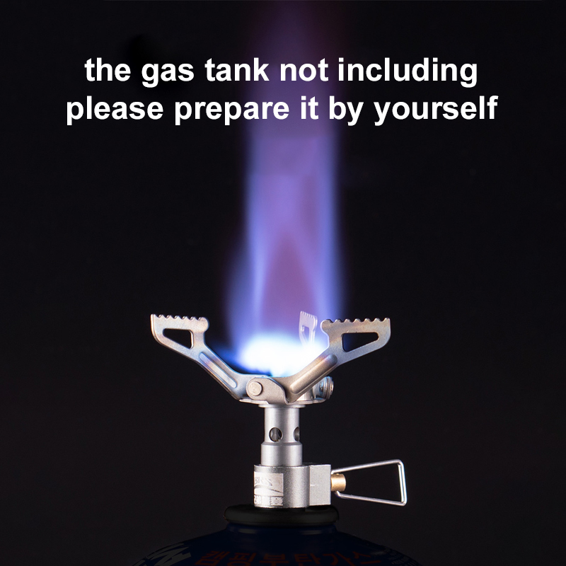 BRS Outdoor Gasfornuis Mini Ca - Commercial Kitchen Gas Stove recensie en prijs