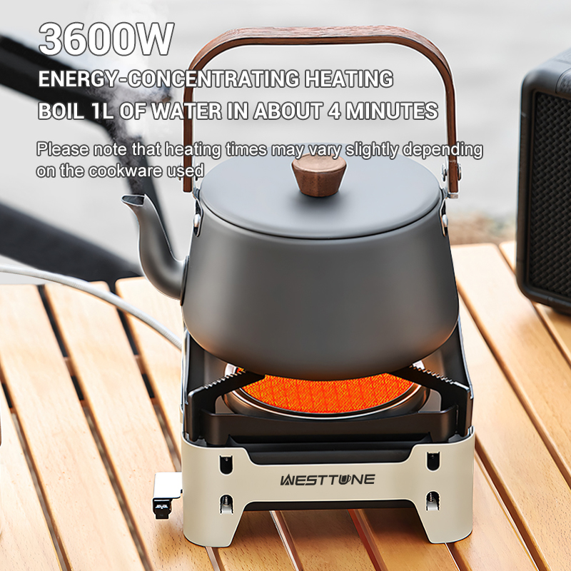 WESTTUNE Camping Kookbrander D - Commercial Kitchen Gas Stove recensie en prijs