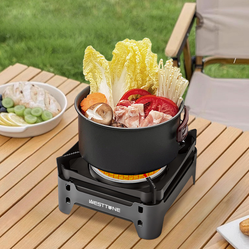 WESTTUNE Camping Kookbrander D - Commercial Kitchen Gas Stove recensie en prijs